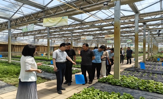 2024年6月27日，，，，，，，中国绿色食物生长中心相关向导莅临农业总公司考察调研_副本.jpg